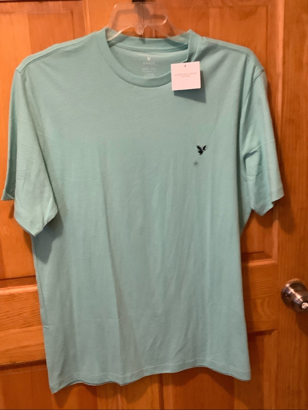 American Eagle Outfitters Men’s Mint Crew Neck Tee with Navy Logo